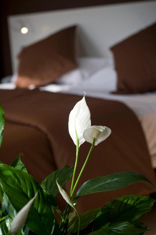 Hotel La Sequia Molinar Campdevánol المظهر الخارجي الصورة